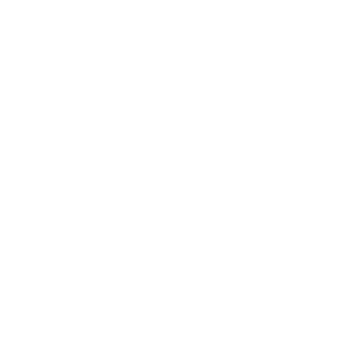 TeamVxyn Logo
